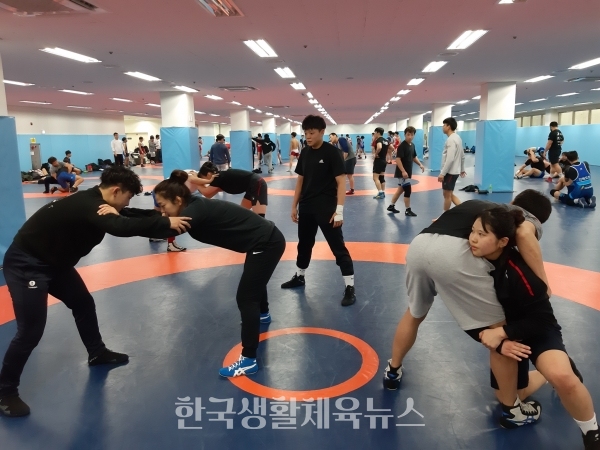 레슬링 국가대표 상비군의 합숙훈련