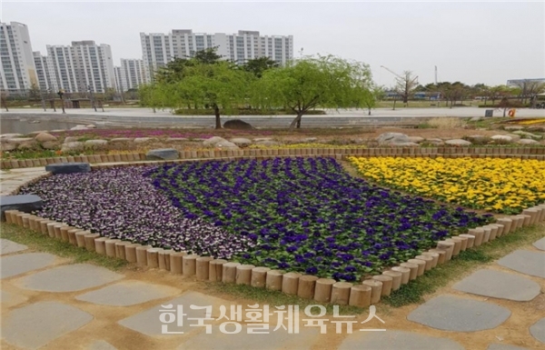김포 한강 신도시에 식재한 봄꽃