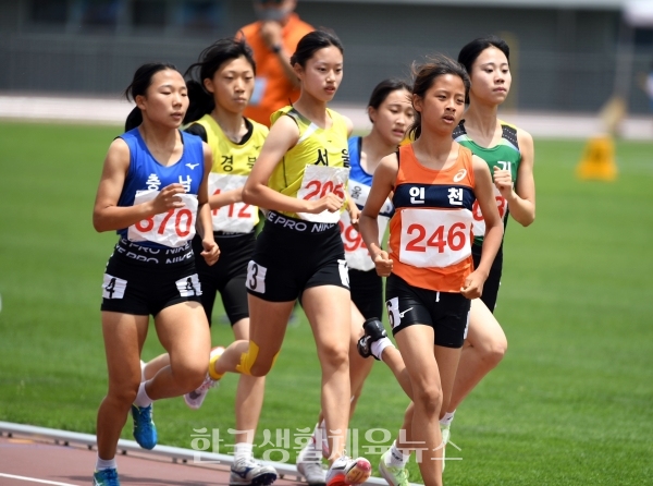 제51회 전국소년체육대회 사진