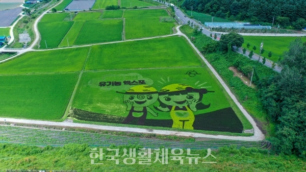 ‘2022 괴산세계유기농산업엑스포’ 유색 벼그림 (사진=괴산군청)