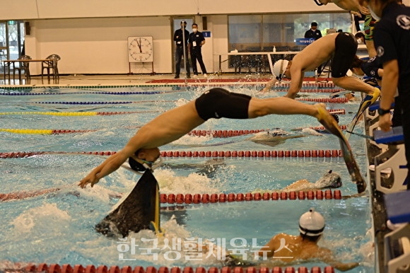 제2회 제주해녀배 전국핀수영대회