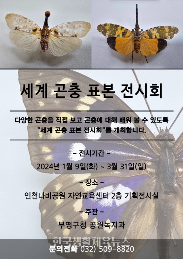 ‘세계 곤충 표본 전시회’ 포스터